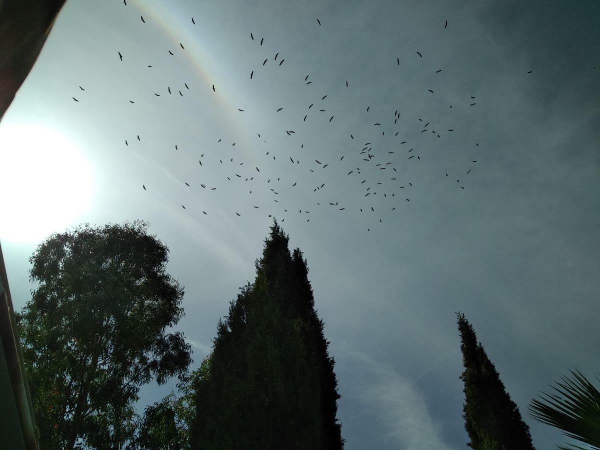 Villa Le Clos Fleuri Narbonne Eksteriør bilde